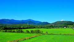 えなこさんを「日本一のコスプレイヤー」と持ち上げるメディアへの疑問 : 駄チワワ:旅と怪獣舎