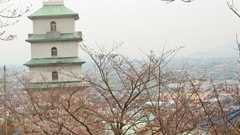 桃陵公園は花見の名所! コンコース広場はライトアップも完備でオススメ | 多度津町 | わんさか香川