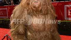 雪男は古代ホッキョクグマの子孫?DNAが完全一致