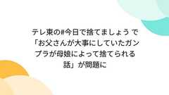 テレ東の#今日で捨てましょう で「お父さんが大事にしていたガンプラが母娘によって捨てられる話」が問題に