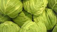 キャベツが超豊作、農家「採れ過ぎ、価格ヤバイ。箱代にもならない・・・」 : 【移転しました】オタク.com/跡地