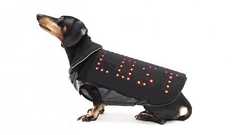 何でもスマート化すりゃいいってもんじゃないよ!スマート・犬用ベスト『Disco Dog』|ガジェット通信 GetNews