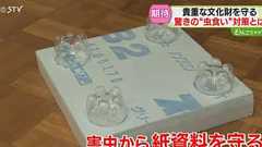 全国の博物館・図書館の悩みの種「紙を食べる虫」の存在…解決策開発の学芸員が北海道にいた! | STVニュース北海道