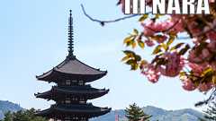 新人のためのインターネット&ネットワーク超入門 2024 - JANOG54 Meeting in NARA