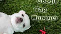 Googleタグマネージャに予め設定しておくと便利な変数12本