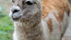 ねぇ、結局デジカメって何万画素必要なの?