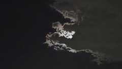 『Google は、江戸末期の活字のOCRに成功している。』