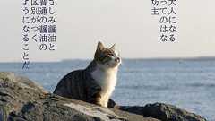 大人になって良さが分かる物といえば? : 哲学ニュースnwk