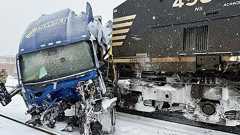 記録的寒波で「イグアナが降る」 米南東部に大雪と混乱