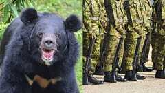 自衛隊はクマを撃てるのか? 元自衛隊レンジャー弁護士が語る“出動の現実” 「クマは銃剣で倒せます」 | 集英社オンライン | ニュースを本気で噛み砕け