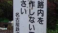 墨東公安委員会 on Twitter: "揖保乃糸が季節柄トレンド入りしてますが、授業でやってる小ネタを一つ。そうめんとうどんだと、家庭で手作りできるうどんの方が「原始的」で、職人技の素麺が「発展的」な感じがしますが、素麺は古代の索餅以来の伝統があるのに対し、うどんは中世後半に登場し広まったのは江戸時代。"