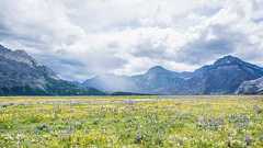 『幻覚剤は役に立つのか』というスゴ本を読んで「気持ちいいことを追及しよう」と決意した。