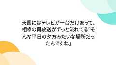 天国にはテレビが一台だけあって、相棒の再放送がずっと流れてる「そんな平日の夕方みたいな場所だったんですね」