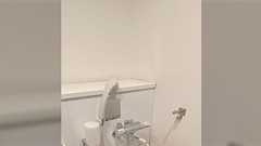 「タワマン共用部のトイレにあるこれ、誰がどんな目的で使うんだろう...。」オストメイト対応トイレと言うがこの投稿で初めて知ったという反応続々と