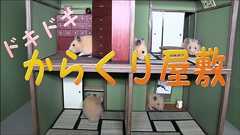 ハムスター専用からくり屋敷(Ninja mansion )