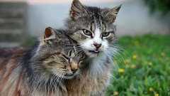 【閲覧注意】結婚に関する悲惨な名言を貼ってくwwwww : 哲学ニュースnwk