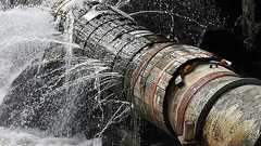 違法動画サイトの広告収入が約220億円に トヨタなど有名ブランドも