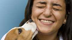 「添い寝」や「キス」など、ペットとのスキンシップが死を招くこともある