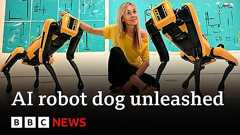 AI robot dogs take bullets to save humans, say engineers | BBC News - YouTube
