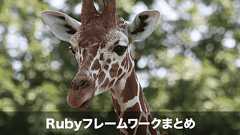 Ruby on Railsだけじゃない!Rubyフレームワーク6選