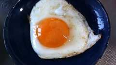 1月と自炊 - 高等なオコジョと猫