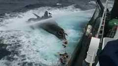 シー・シェパードの船、日本の捕鯨船と衝突して沈没 : 痛いニュース(ノ∀`)