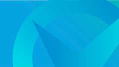 DX Criteria (v202506)/企業のデジタル化とソフトウェア活用のためのガイドライン