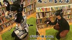 UE4 Oculus Rift DK2『ねこのるんば』をデジゲー博にて出展しました : ラビットガーデン