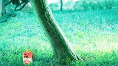 「CLANNADを愛する人は,Yahoo!掲示板にいた」