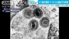“うつ病の原因”となるウイルスの遺伝子を発見