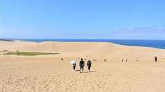 鳥取砂丘のミステリー カエルはどこからやってくる? (1/3) - ITmedia NEWS