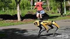 ロボット犬、公園で対人距離パトロール シンガポール