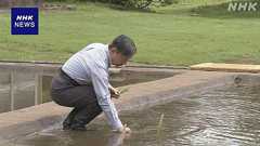 天皇陛下 皇居の水田で恒例の田植え | NHKニュース