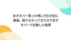 あずきバー買った時に万引き犯に遭遇。殴りかかってきたのであずきバーで応戦した結果