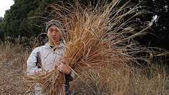 そのへんの枯れ草で納豆を作る(デジタルリマスター版)