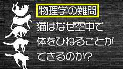 天才たちが挑んだ超難問『猫ひねり問題』