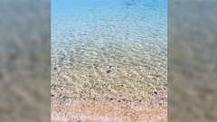 汚すぎるセーヌ川の一方、下水処理で綺麗になりすぎて海苔が色落ちし牡蠣が育たなくなり魚が減った瀬戸内海。行政が汚水を放出しろというレベル