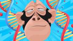 大酒飲みサルの脳遺伝子改造で「断酒」させることに成功! - ナゾロジー