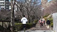 目黒川沿いを走る、おすすめジョギングコース。リバーサイド中心のアップダウンもある約2.5kmのコース。