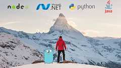 Lambda Cold Starts, A Language Comparison 🕵 ❄️ (2018)