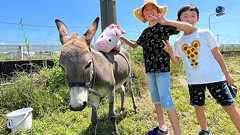 まちの電気屋さん、敷地の庭を子ども達に開放! 図書館やアスレチック、ミニ牧場など”地域の遊園地”なぜつくった? 群馬県前橋市「ソウワ・ディライト」