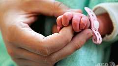 ドイツ議会、「第3の性」認める法案可決 写真1枚 国際ニュース:AFPBB News