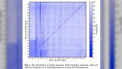 【ドコモ口座】4ケタパスワードの分布と傾向