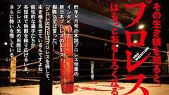 今夏もプロレス特集をお届けできて、よかったです!【特集番外編】 | ダ・ヴィンチWeb