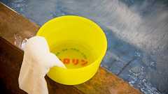 横浜 アーカイブ | 【公式】神奈川の銭湯情報