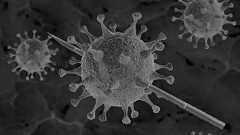 ミクロの竹やり、ウイルス貫く 千葉電波大が開発