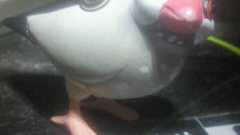 望潮さん @arsALFEE はTwitterを使っています: "男性諸氏、オカンの抱っこ紐に注目して。みんな同じ形態の色違いでしょう?全部ブランド品。お安くないんです。いま流行りなんです。"