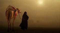 codic ブログ - codic ブログ