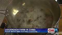 健康食にゴキブリ? 中国で養殖