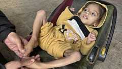 ガザにいるぼくが見た半年のこと おじは息子を失った。でも遺体も遺品もない。おじは嘆く「死をどう確認すればよいのか」 | 47NEWS